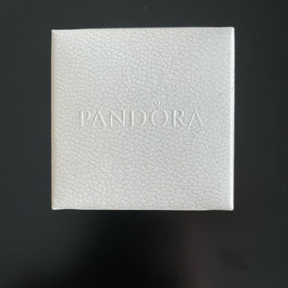 Two pandora charms (one box)